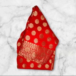 Banarasi Padded Blouse V Cut