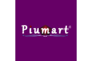 Piumart® Ethnic Fashion Brand Piumart Handwork Blouse Saree and Bag Collection